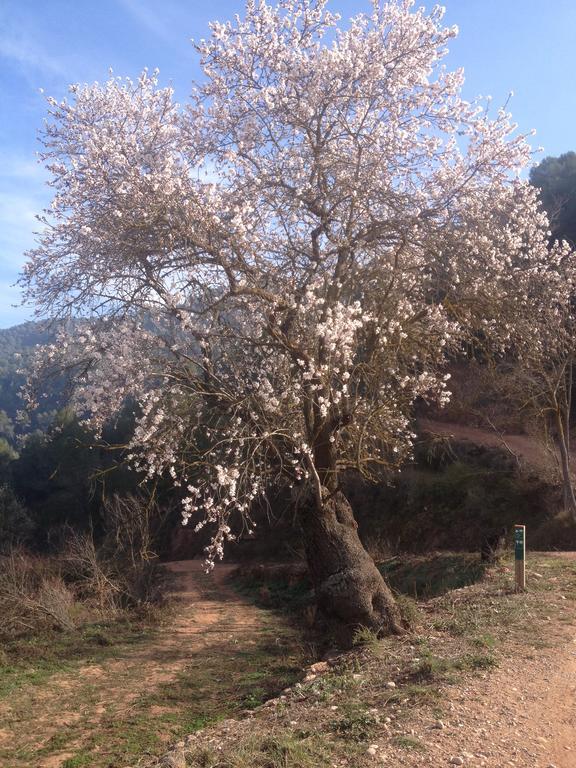 Masia Casajoana Rural Rellinars Exterior foto